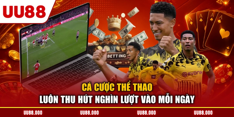Cá cược thể thao luôn thu hút nghìn lượt vào mỗi ngày