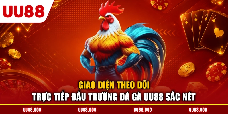 Giao diện theo dõi trực tiếp đấu trường đá gà UU88 sắc nét