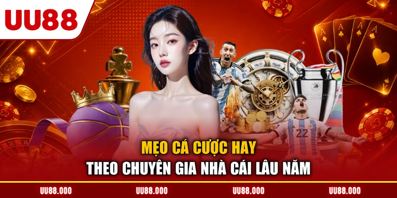 Mẹo cá cược hay theo chuyên gia nhà cái lâu năm